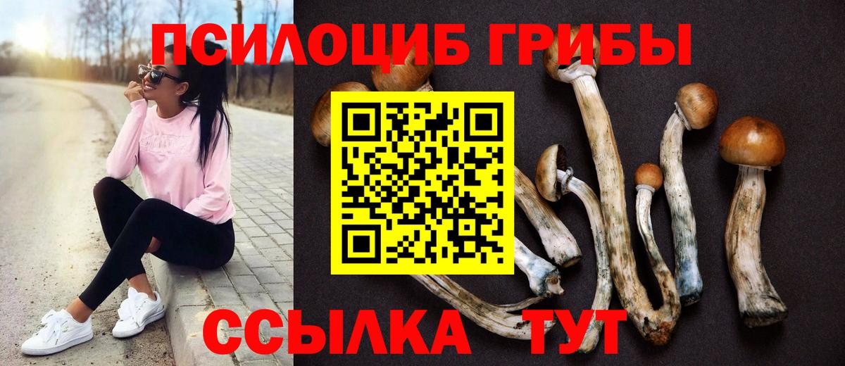 Галлюциногенные грибы GOLDEN TEACHER  Вход с VPN  купить закладку  Псилоцибиновые грибы GOLDEN TEACHER  Аксай 